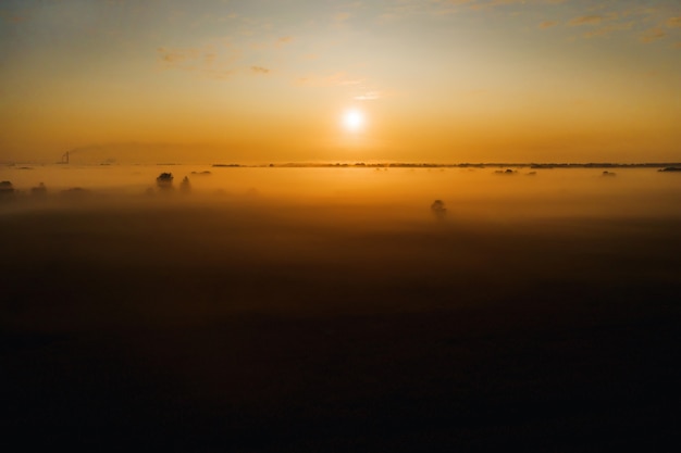 Erstaunlicher Sonnenaufgang in der Landschaft über einem Feld von Sonnenblumen