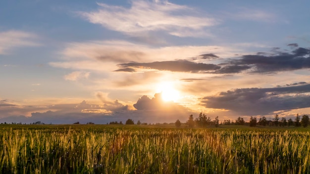 Erstaunlicher Sonnenuntergang über dem Feld