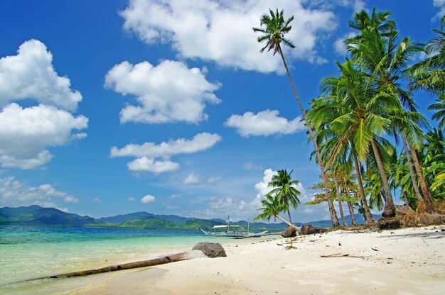 Erstaunlicher tropischer Kurzurlaub in Palawan, Inselhüpfen El Nido. Philippinen