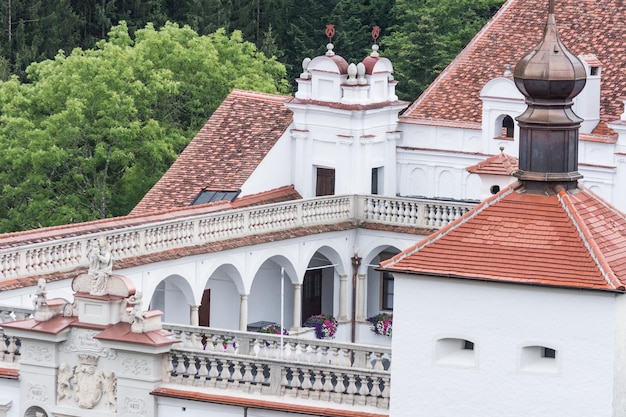 Erstaunliches altes Schloss in einer hügeligen Landschaft aus Österreich-Detail