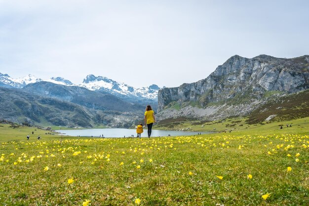 Erste Schritte eines Babys im See Ercina im Frühling mit gelben Blüten in den Seen von Covadonga und den schneebedeckten Bergen Asturiens Spanien