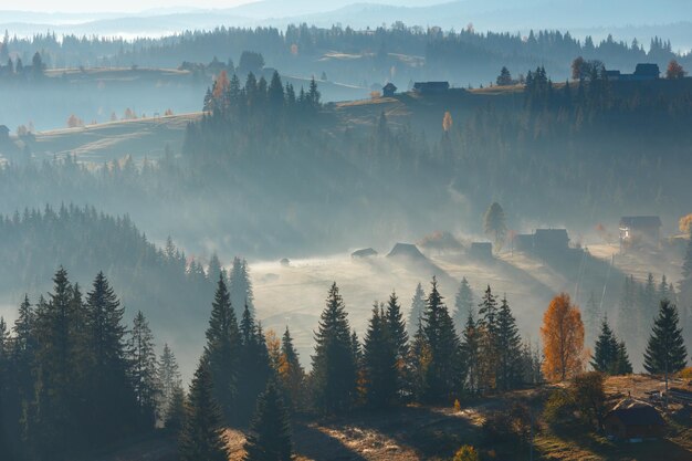 Erste Sonnenstrahlen in den Karpaten