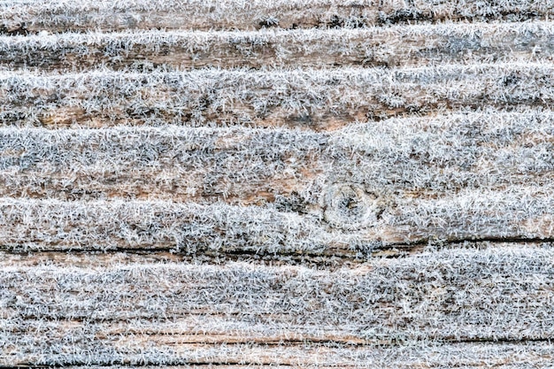 Erster Frost auf einer gefrorenen blass verblassten braunen und kühlen blauen Oberfläche aus wiedergewonnenem Kiefernholz mit aufgereihten gealterten Brettern. Schönes abstraktes gefrorenes Mikrokosmosmuster. Neutral gebeizter Vintage-Holzhintergrund.