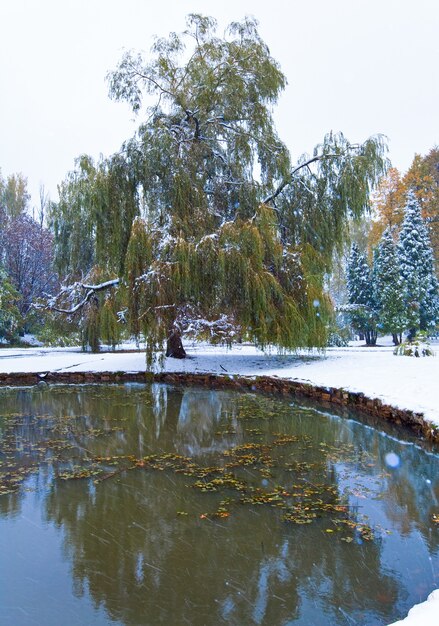 Erster Herbst plötzlicher Schnee im Stadtpark