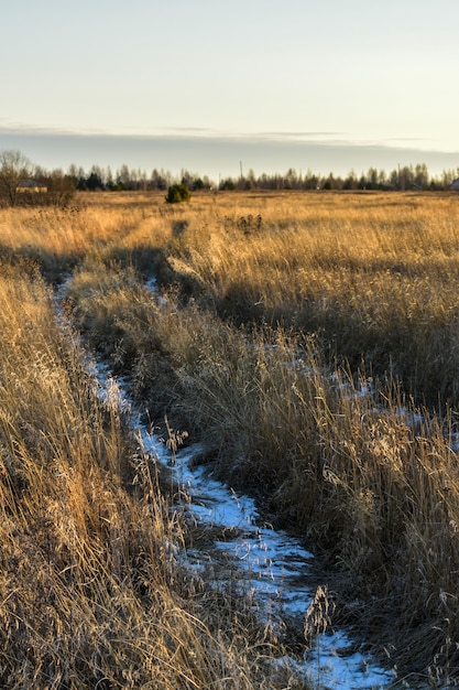 Erster Schnee im Feld bei Sonnenuntergang