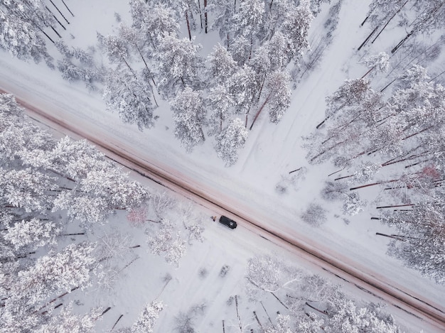 Foto erster schnee im fichtenwald fahren im wald nach schneefall luftdrohnenansicht verschneite waldstraße kiefern als hintergrund winterlandschaft aus der luft natürlicher waldhintergrund