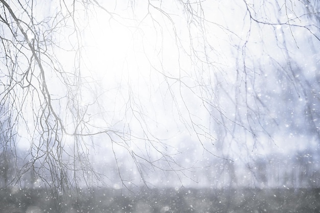 erster Schnee im Park abstrakte Neujahrsansicht