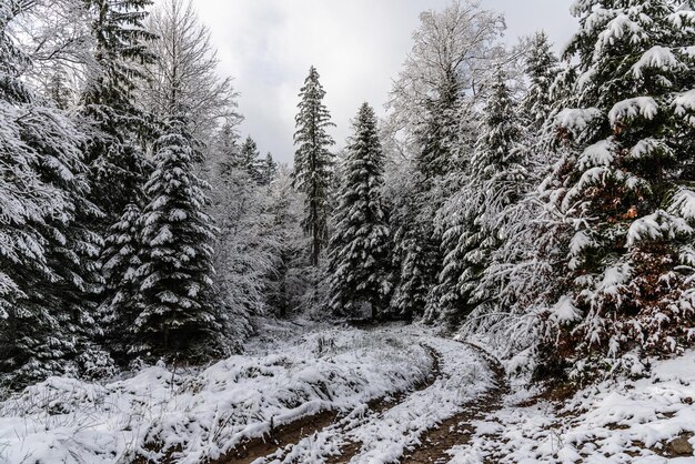 Erster Schnee in den Bergen