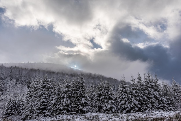 Erster Schnee in den Bergen