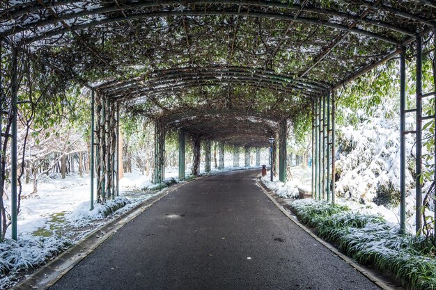 Erster Schnee in der Stadt Verschneite Straßen Grüne Blätter im Herbst Stadtbild im Schnee