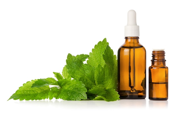Foto erva-cidreira melissa folhas frescas e óleo essencial em garrafa isolada em fundo branco fitoterapia e aromaterapia
