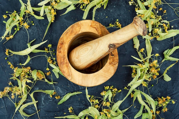 Erva medicinal de flores de tília secas