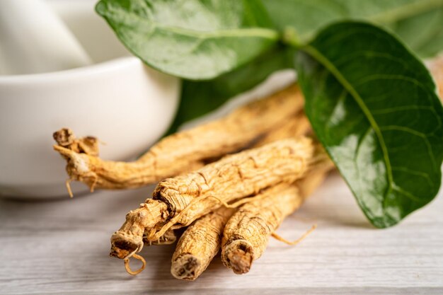 Erva vegetal seca de ginseng Comida saudável comida de exportação famosa no país da Coreia