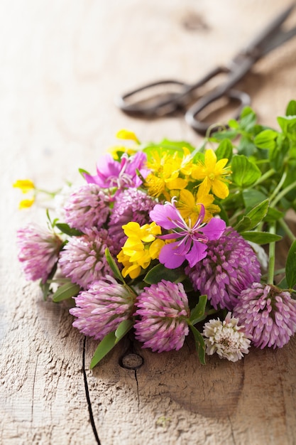 Ervas e flores médicas coloridas