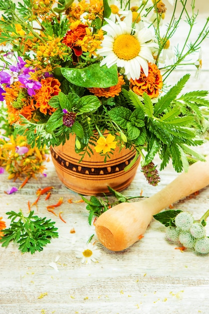 Ervas em um almofariz. plantas medicinais. foco seletivo.