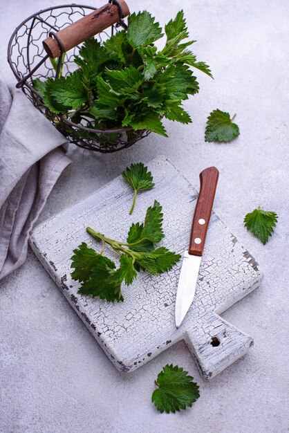 Ervas frescas de primavera de urtiga jovem para cozinhar