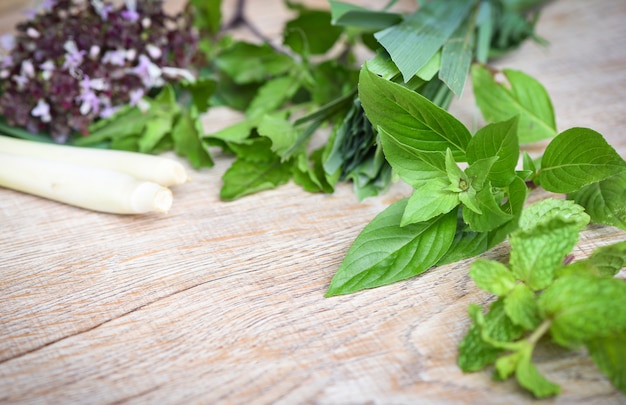 Ervas frescas e especiarias com manjericão capim-limão ingrediente de folha de hortelã-pimenta