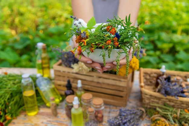 Ervas medicinais e tinturas naturais Foco seletivo