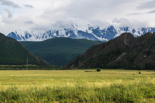 Ervilhas nevadas das montanhas Altai e grama amarela e verde República de Altai Sibéria Rússia