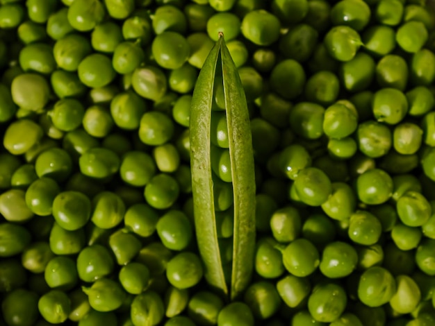 Foto ervilhas verdes frescas para cozinhar