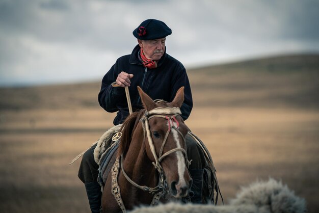 Foto erwachsener mann reitet auf dem pferd auf dem land