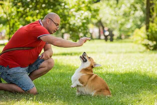 Erwachsener Mann trainiert ihren walisischen Corgi-Pembroke-Hund im Stadtpark