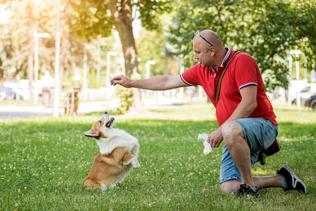 Erwachsener Mann trainiert ihren walisischen Corgi-Pembroke-Hund im Stadtpark