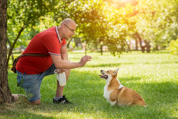 Erwachsener Mann trainiert ihren walisischen Corgi-Pembroke-Hund im Stadtpark