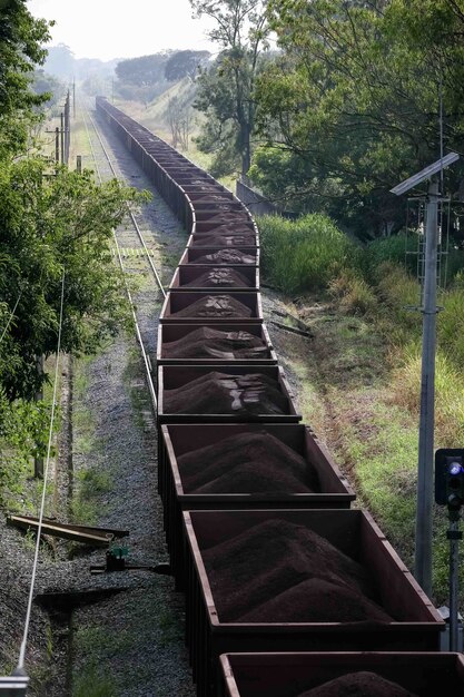 Erzzug auf der Bahn mitten in der Natur.