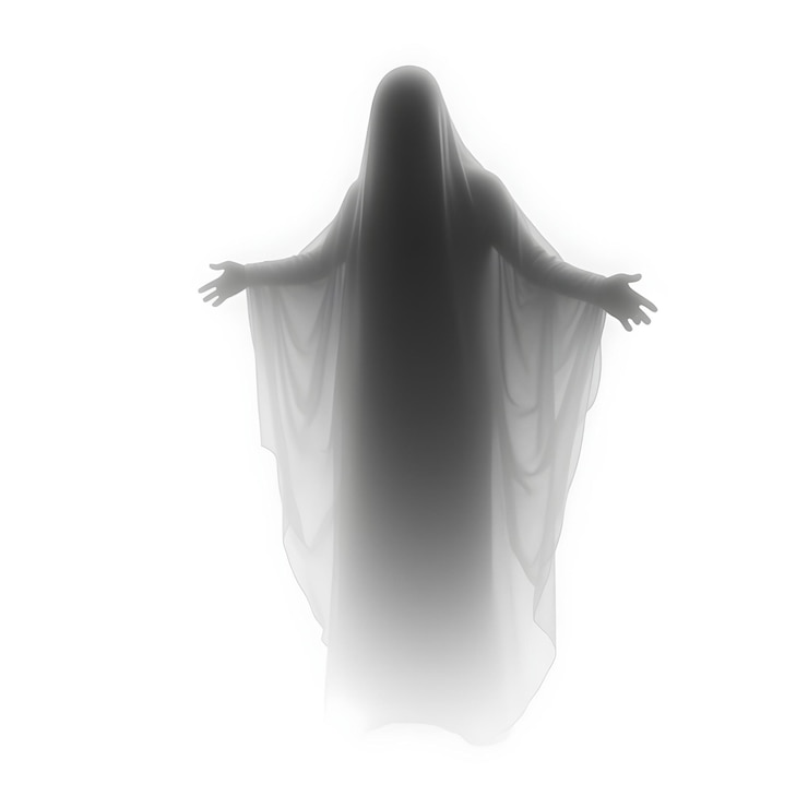 Foto es un fantasma cazado.