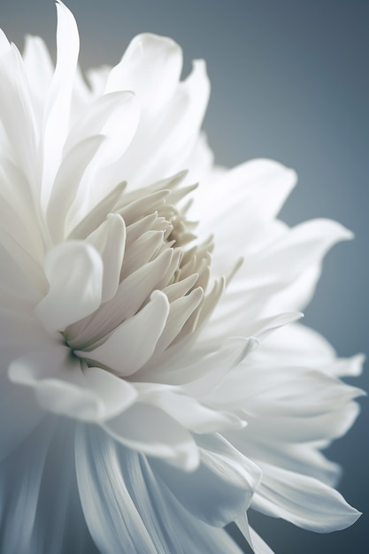 Es gibt eine weiße Blume, die in einer Vase generativ ai