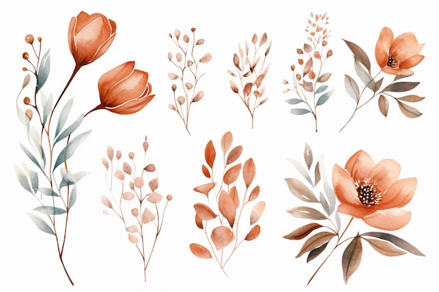 Es gibt viele verschiedene Blumen und Blätter, die auf einem generativen KI-Hintergrund auf weißem Hintergrund gemalt sind