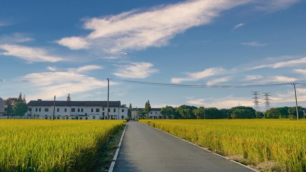 Es un hermoso paisaje rural de Jeju.