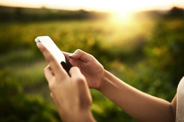 Es lohnt sich auf jeden Fall, ein Foto zu machen Unerkennbare Aufnahme von Händen, die ein Mobiltelefon halten und ein Foto mit Vegetation im Hintergrund machen