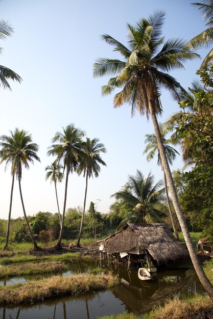 Esta es la naturaleza de Tailandia.