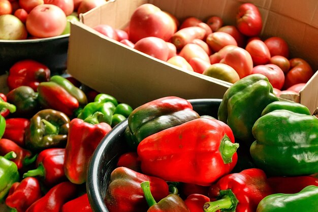 Esta es una nueva cosecha de vegetales del jardín del pueblo Muchos tomates rojos maduros y pimientos dulces