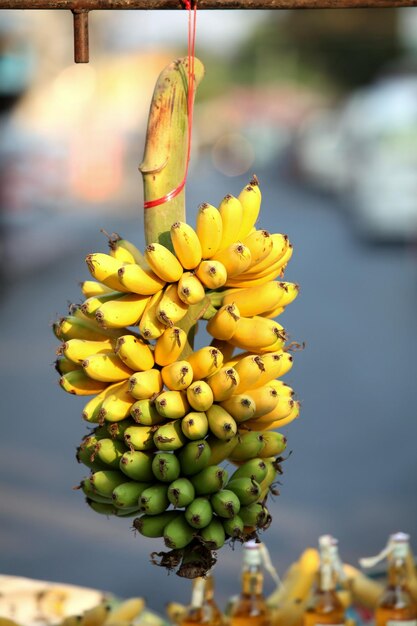 Es un plátano amarillo muy sabroso.