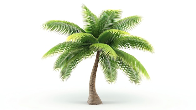 Esta es una representación 3D de una palmera realista La palmera tiene un tronco marrón y hojas verdes y está aislada sobre un fondo blanco