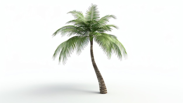 Esta es una representación en 3D de una palmera realista. La palmera tiene un tronco marrón y hojas verdes y está puesta contra un fondo blanco.
