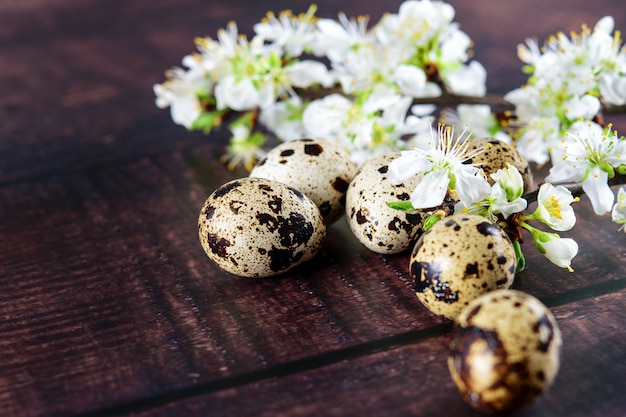 Esater Wachteleier mit einem Zweig des blühenden Obstbaums auf dem Holztisch