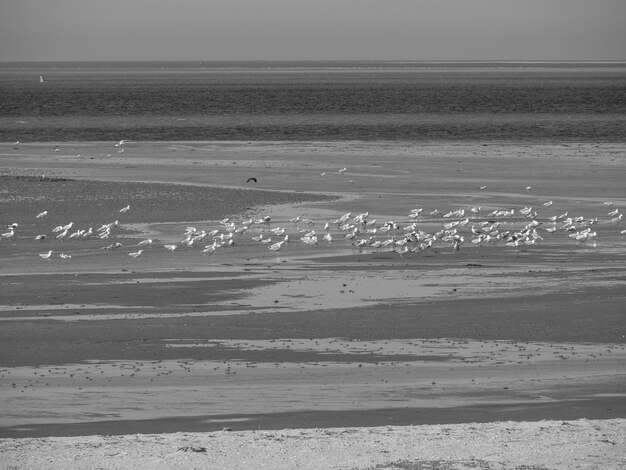 Foto esbjerg en el mar del norte en dinamarca