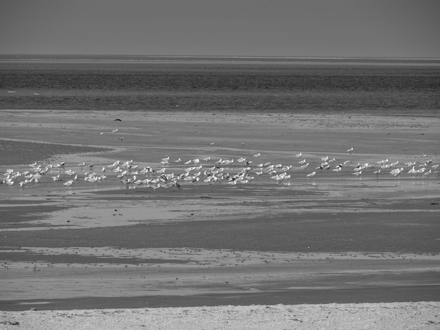 Foto esbjerg en el mar del norte en dinamarca