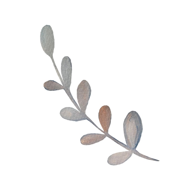Esboço místico cinza da folha da flor Uma ilustração em aquarela Textura desenhada à mão e isolada