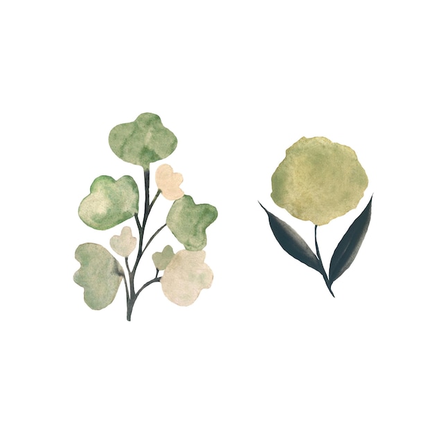 Esboço simples conjunto plano flor verde. Uma ilustração em aquarela. Textura desenhada à mão e isolada.