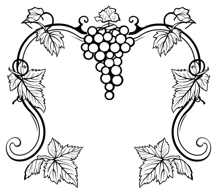 Foto esbozo de dibujo de patrones de uvas de png