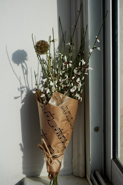 Escabiosa en forma de espinas sobre un fondo de luz neutra Ramo de flores con sombra