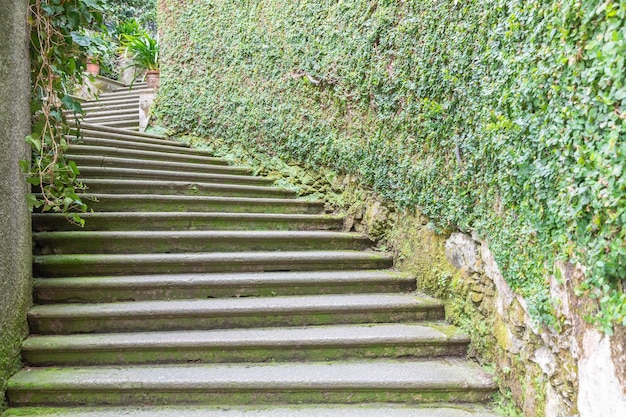 Escada antiga na natureza Arquitetura de jardim design caminho natural verde