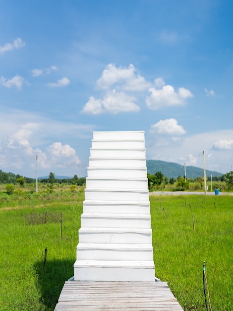 Escadas brancas do jardim do campo de grama verde até o céu nublado, fé e caminho para o conceito de sucesso