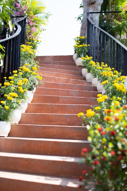 Escadas com lindos vasos de flores em ambos os lados.