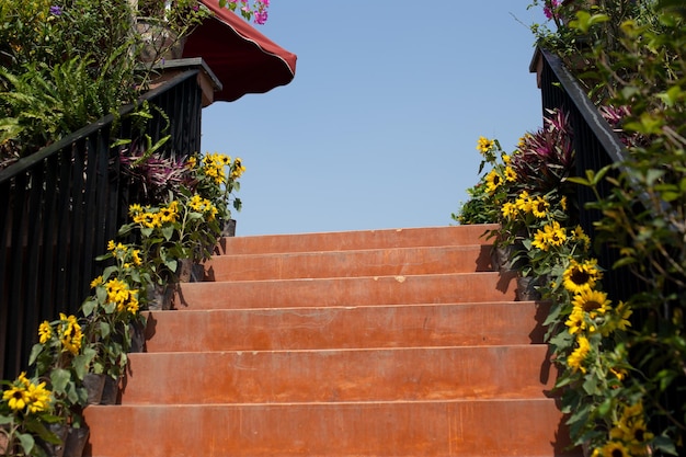 Escadas com lindos vasos de flores em ambos os lados.